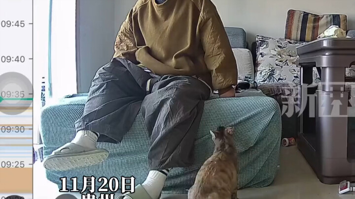 لم أشعر بمثل هذا الذهول في حياتي من قبل.