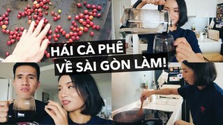 Táy máy hái quả cà phê mang về Sài Gòn làm và cái kết!