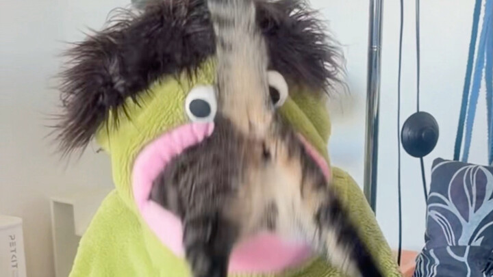 Save Smelly Juanbao!!!