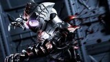 [Blu-ray] Koleksi Pertempuran Kamen Rider Amazon Kamen Rider Sigma