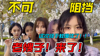 上海海洋花开四大版本，最后一个版本给我看乐了，真老嫂子！