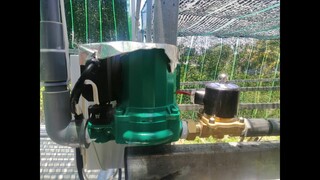 Chia Sẻ Lắp Bộ Tưới Phun Mưa|Cuộc Sống Rãnh Tay Hơn