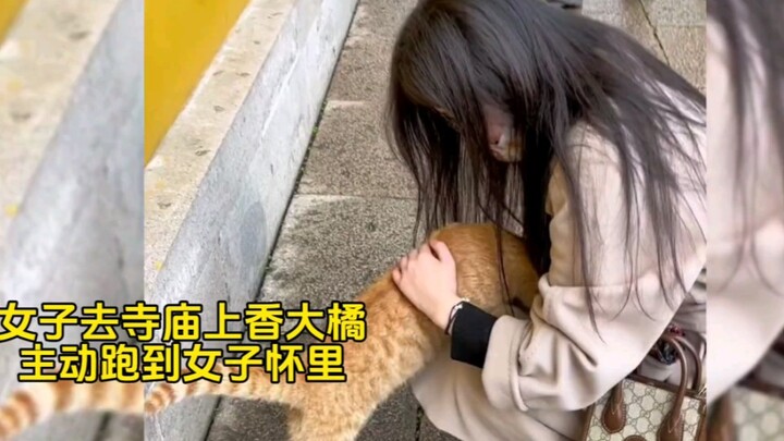 "Siapa yang akan menolak si kecil imut yang proaktif seperti itu?"