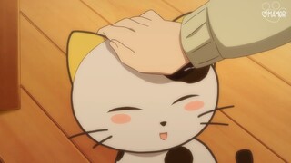 Uchi Tama? Uchi no Tama Shirimasen ka- Tập 04 | Vietsub