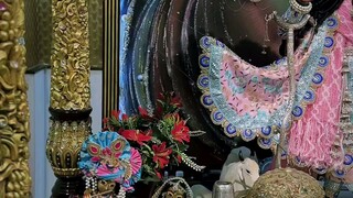 radhe radhe ji