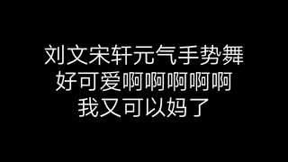 【刘耀文|宋亚轩】元气满满手势舞 我又可以当妈了