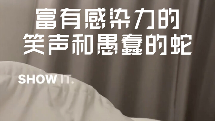 Contagious laughter and a silly snake