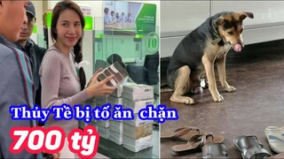 Một luật sư tố anh hề, thủy tề ăn ăn số tiền lớn - Top comment FB.