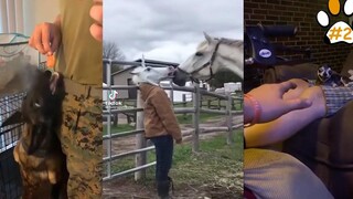 รวมสุดยอดสัตว์ตลก 2