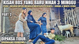 PURA" MISKIN SAAT AWAL MENIKAH DIHINA MERTUA & ISTRI ! DIPAKSA TIDUR DIKANDANG - PART 2