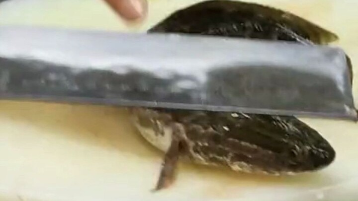 لم أتخيّل أن السمكة تهزّ أحسن مني! الشيف: يا له من سمك ضخم يمر بجانبي! #جائزة_التعليقات_الترفيهية #م