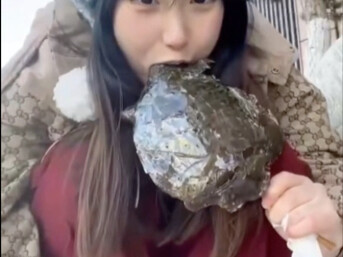 Traditional Cuisine: Rock-Sugar Turtle