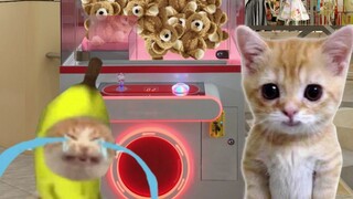 Banana Cat uses a claw machine to grab dolls, but can't succeed—so the doll throws itself at him!