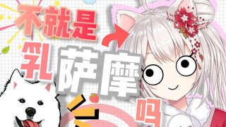 没有人比我更懂乳萨摩