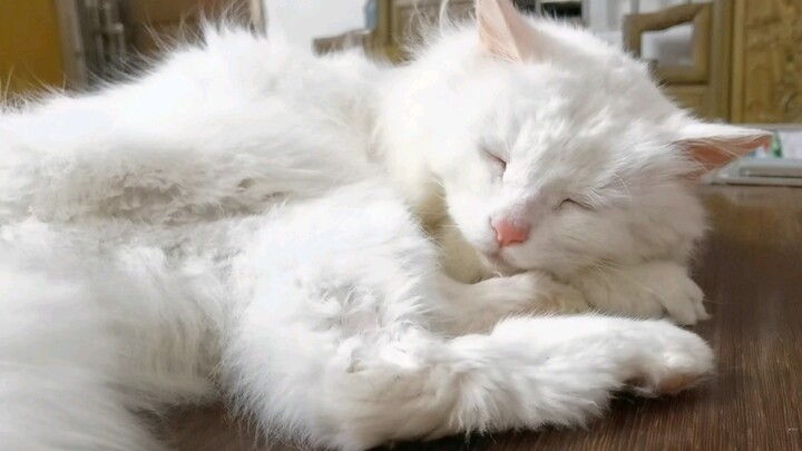 25-Year-Old Miao Xue’er | A Stockpile of Beauty