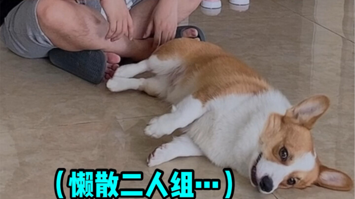 Cho cún cưng “nói chuyện” nào!!! Rốt cuộc là ai huấn luyện ai đây?