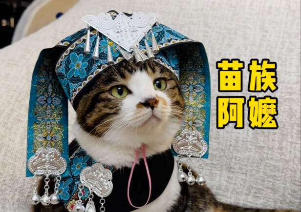 Seperti ketua suku besar dari daerah Miao yang memang ahli dalam menyebarkan guna-guna.