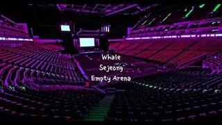 Whale by KIM SEJEONG (김세정) but you're in an empty arena [CONCERT AUDIO] [USE HEADPHONES] 🎧