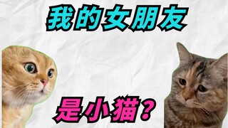Ketika saya menyadari pacar saya sebenarnya adalah seekor anak kucing...