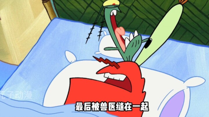 Mr. Krabs and Mr. Plankton had a car accident while taking their driver's license test, and were fin