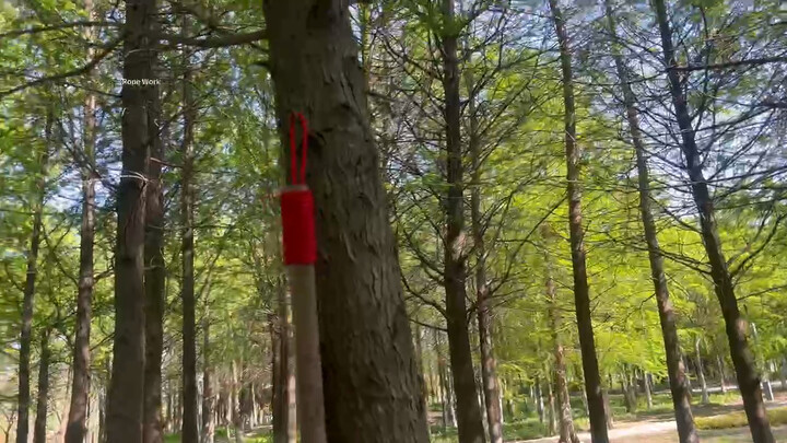 Vua của các nút thắt