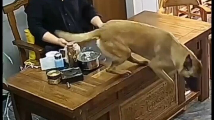 Đoạn video này vừa dựng vừa cười