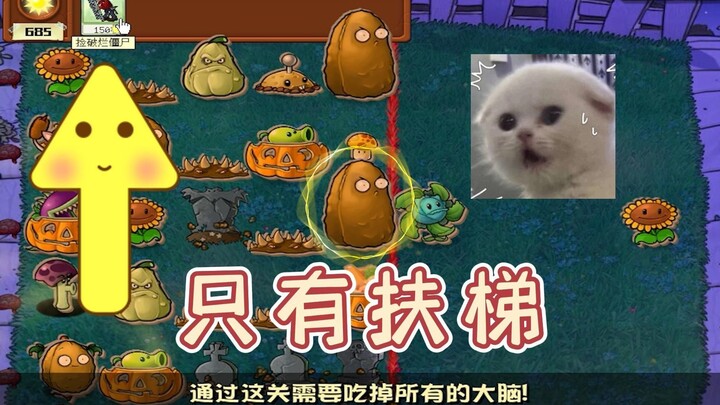 Plants vs. Zombies: When the Tech Guru Runs into a Technical Glitch