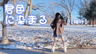 【柚叶】染上你的颜色^_−☆