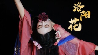 古典舞【洛阳花】 | 花开时节动京城