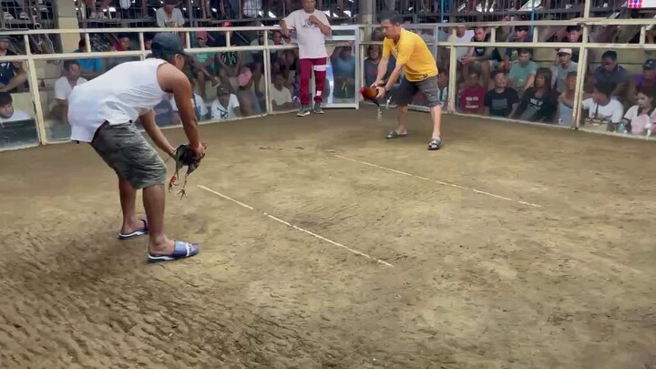 JMGE GF NOV 23 2 HITS MANAOG COCKPIT CHAMPION FIGHT 2