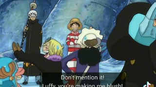 Trafalgar and straw hats funny moments