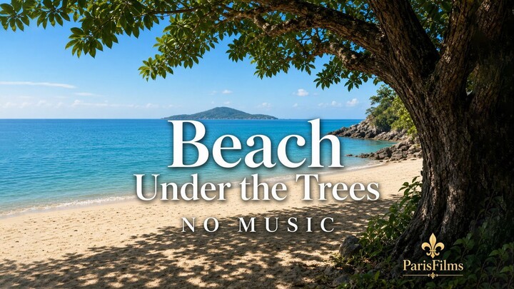 Beach Under the Trees | NO MUSIC | Calm Ocean View for Sleep & Study