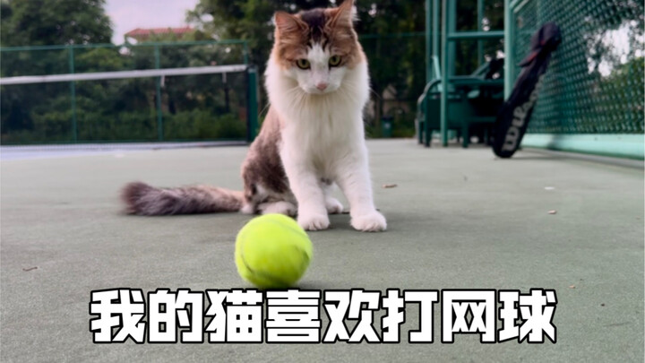 Sneaking out to play at 5 a.m.