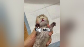 Cháu tên Khánh Tú DOexo khanhtu meo