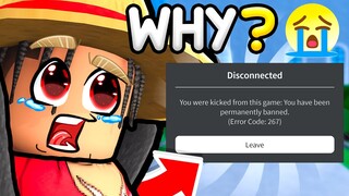 This Glitch on Blox Fruits Got Me Banned!