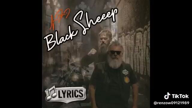 BLACK SHEEP