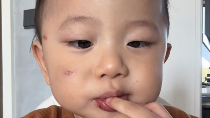 Limited battle-damaged version mukbang (now offline)