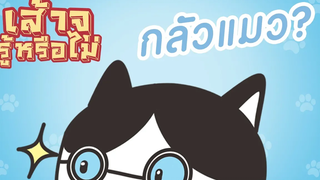 เส้าจูรู้หรือไม่ - EP1 กลัวแมว
