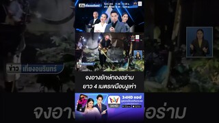 จงอางยักษ์ทองอร่าม ยาว 4 เมตรเขมือบงูเห่า