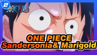 ONE PIECE|Luffy VS. Boa Sandersonia&Boa Marigold_2