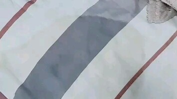 猫猫又尿床上了我真的要被气炸了昨天的刚干我昨晚是贴着另一边床睡得今天它能再给我尿一泡上来我真的是服了这只猫是不是挨打没够喜欢在床上尿是吧我真的想把它掐死了气死我