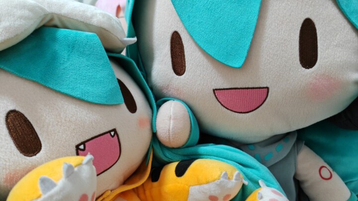 ดุเดือด! ลงจากภูเขา!!!