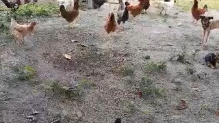 日落尤其温柔，人间皆是精彩，要把普通的日子过得浪漫。别让世俗淹没生活的热情，不辜负每一个日出日落的时光，也不辜负身边每一场花开花落，请一边努力，一边快乐。把行动交给现在，把结果交给时间，当你拼尽