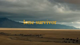 Lone Survivor 2013