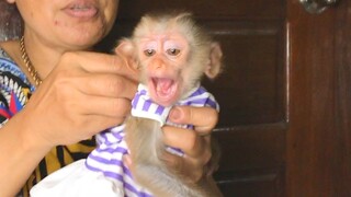 OMG   Princes Maya Scare When Grandma Wear New Clothes For Her, Maya Yummy With Her Favorite Fruit