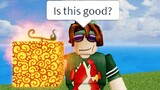 The Roblox Blox Fruits Experience