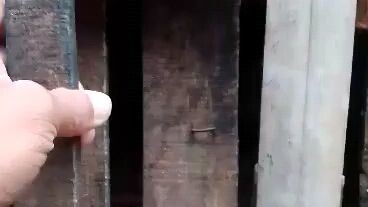 my babies 😊😊😊