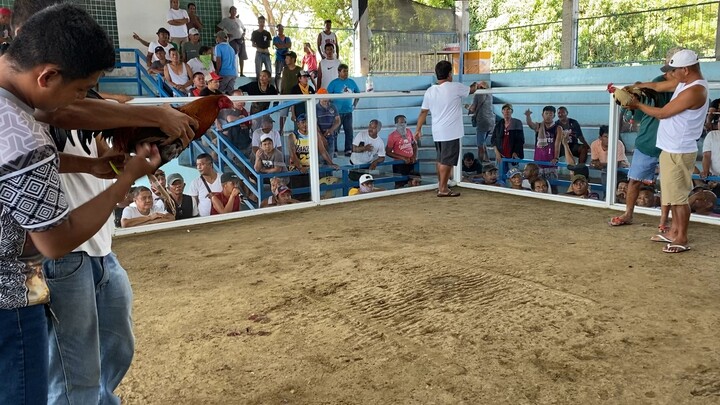 Thursday hack fight WIN c Pula