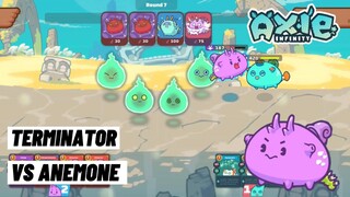 RBP Terminator VS Anemone 1 VS 1 Gameplay Axie Infinity