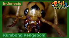Alasan Kenapa Bom Itu Berbahaya - Peet The Forest Detective 3 (Bahasa Indonesia)